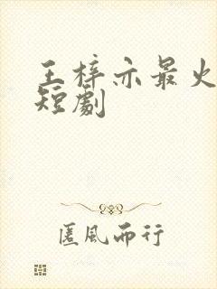 王梓亦最火十部短剧