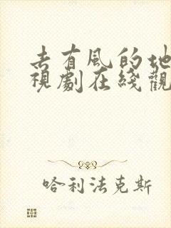 去有风的地方电视剧在线观看全集免费