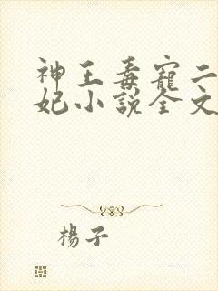 神王毒宠二嫁王妃小说全文免费