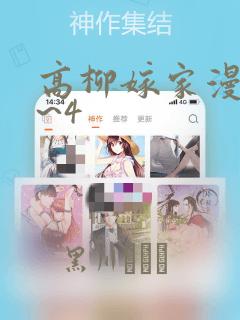 高柳嫁家漫画1~4