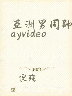 亚洲男同帅哥gayvideo