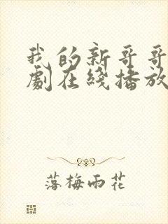 我的新哥哥2韩剧在线播放