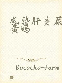 感染肝炎尿会变黄吗