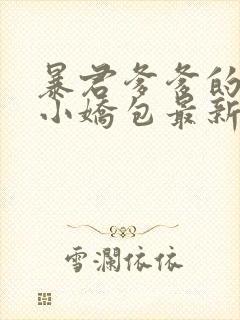 暴君爹爹的团宠小娇包最新章节