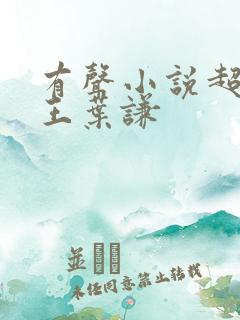 有声小说超级兵王叶谦