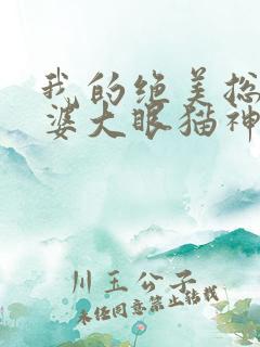 我的绝美总裁老婆大眼猫神
