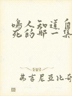 鸣人知道自来也死的哪一集