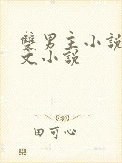 双男主小说高干文小说