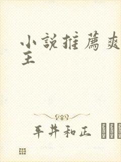 小说推荐爽文女主