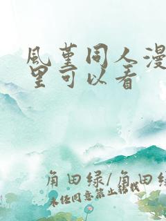 风堇同人漫画哪里可以看