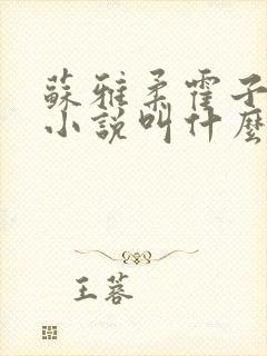 苏雅柔霍子期的小说叫什么名字