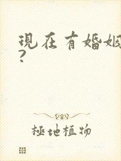 现在有婚姻法吗?