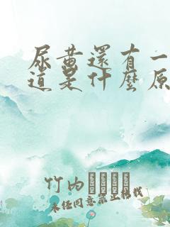 尿黄还有一股味道是什么原因