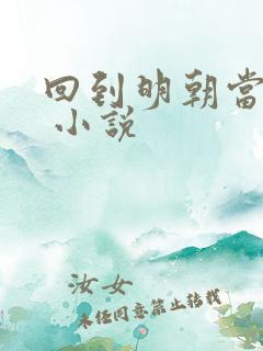 回到明朝当老大 小说