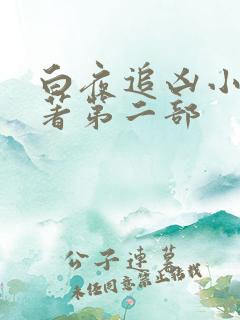 白夜追凶小说原著第二部