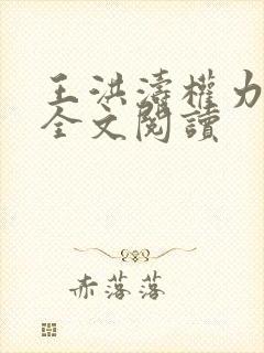 王洪涛权力巅峰全文阅读