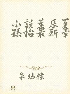 小说叶辰夏若雪孙怡最新章节免费阅读