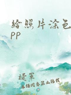 给照片涂色的app