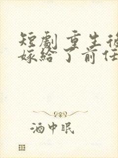 短剧 重生后我嫁给了前任他叔