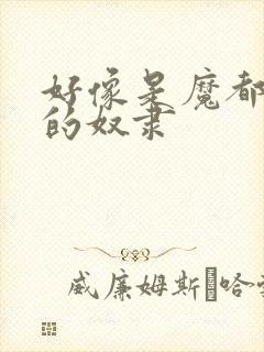 好像是魔都精兵的奴隶