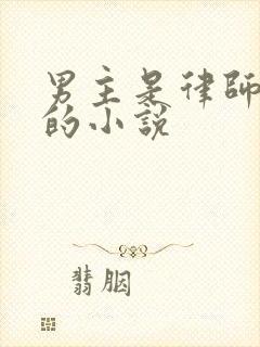 男主是律师姓顾的小说