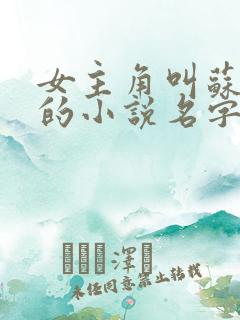 女主角叫苏沐雪的小说名字