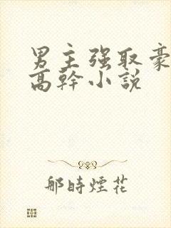 男主强取豪夺的高干小说