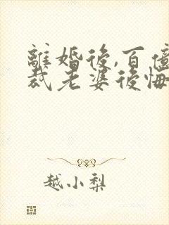 离婚后,百亿总裁老婆后悔了