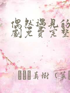 偶然遇见的你短剧免费完整版