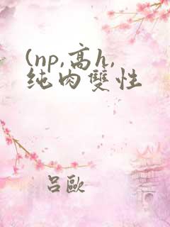 (np,高h,纯肉双性