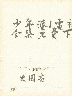 少年派1电视剧全集免费下载