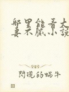 哪里能看大佬宠妻不腻小说