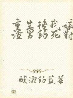 重生后我嫁给了渣男的死对头程小澄