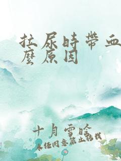 拉尿时带血是什么原因