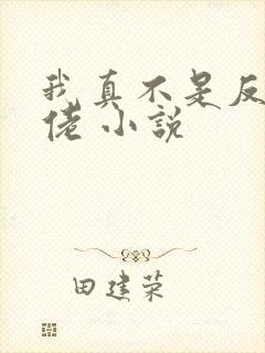 我真不是反派大佬 小说