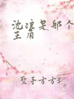 沈浪是那个小说主角