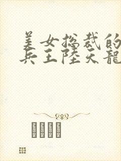 美女总裁的贴身兵王陆天龙