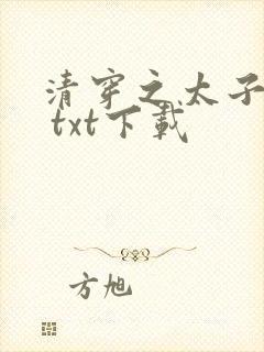 清穿之太子娇妃 txt下载