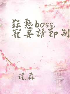 狂热boss,宠妻请节制