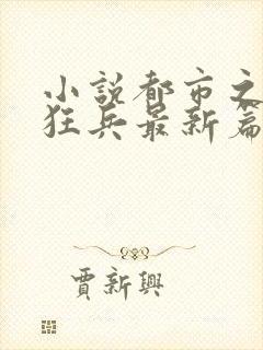 小说都市之最强狂兵最新篇章