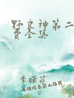 野良神第二季免费全集