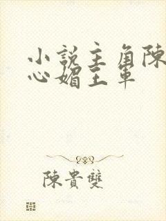 小说主角陈斌赵心媚王军