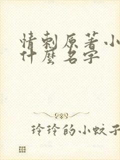 情刺原著小说叫什么名字