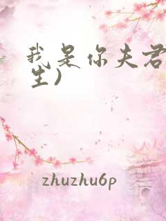 我是你夫君(重生)