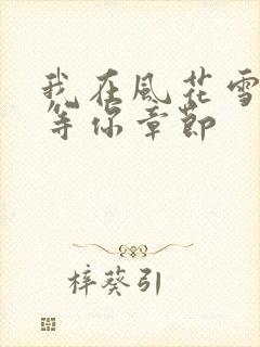 我在风花雪月里等你章节