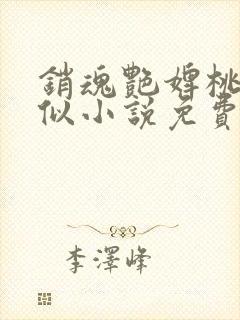 销魂艳婢桃儿类似小说免费阅读