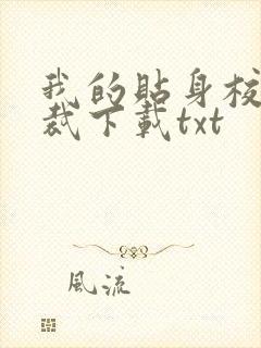 我的贴身校花总裁下载txt