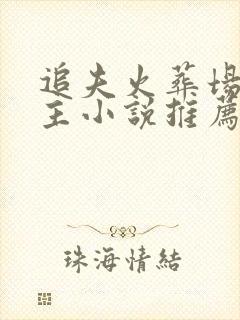 追夫火葬场双男主小说推荐