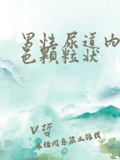 男性尿道内有白色颗粒状