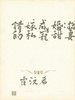 错嫁成婚:总裁的私宠甜妻